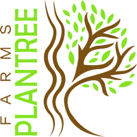 Plantree Farms